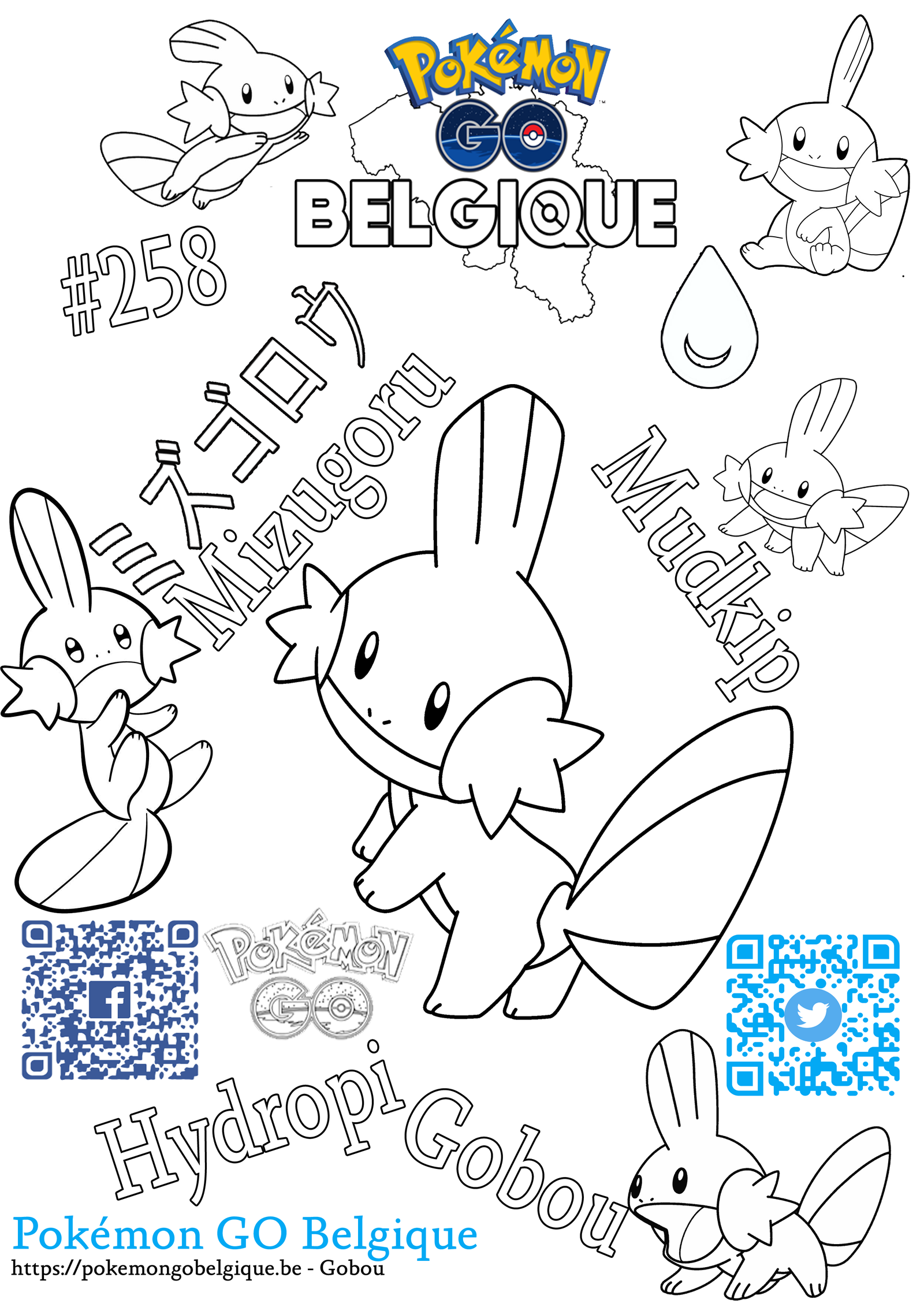 258-Mudkip